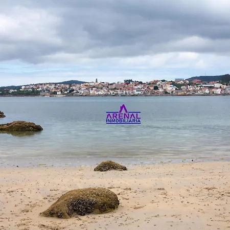 Txemari * Palmeira
