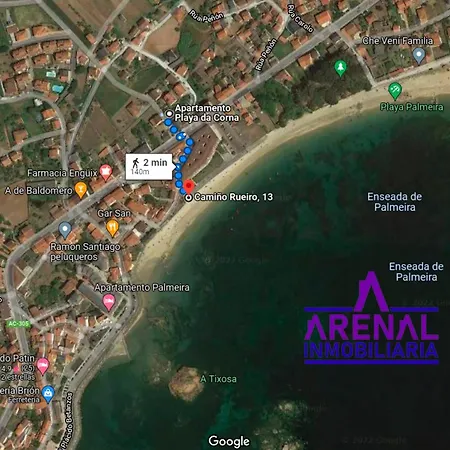 Txemari * Palmeira